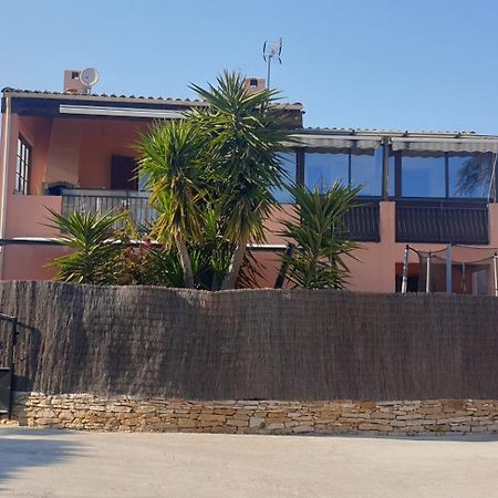 Les Vagues Bleues Apartment ลาซิโอตาต์ ภายนอก รูปภาพ